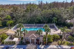 220 Bay Arbor Blvd, Oldsmar, FL 34677 - Photo 69