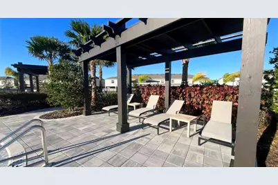 31268 Paper Birch Street, Wesley Chapel, FL 33545 - Photo 31