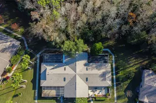 3186 Charter Club Dr, Tarpon Springs, FL 34688 - Photo 45