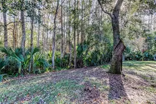 3186 Charter Club Dr, Tarpon Springs, FL 34688 - Photo 35