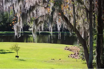 36750 US Highway 19 N #3-203, Palm Harbor, FL 34683 - Photo 41