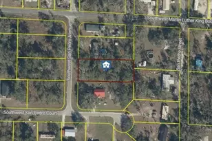 San Pedro Ave, Mayo, FL 32066 - Photo 1