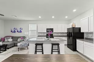 32946 Kaloko Rd, Wesley Chapel, FL 33543 - Photo 3