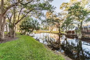 4133 Dolphin Dr, Tampa, FL 33617 - Photo 15