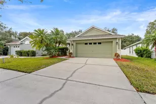 5041 Prairie View Way, Wesley Chapel, FL 33545 - Photo 3