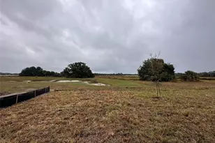 1946 Lanier Rd, Zephyrhills, FL 33541 - Photo 17