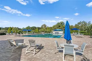 4917 Londonderry Dr, Tampa, FL 33647 - Photo 59