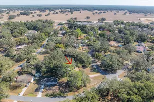34745 Gardenia Way, Dade City, FL 33523 - Photo 9