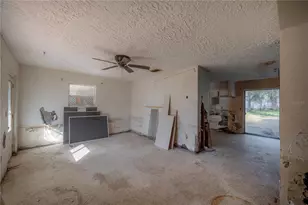 34745 Gardenia Way, Dade City, FL 33523 - Photo 13