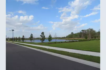 17212 Bigleaf Mahogany Lane, Land O Lakes, FL 34638 - Photo 21
