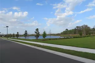 17212 Bigleaf Mahogany Ln, Land O Lakes, FL 34638 - Photo 21