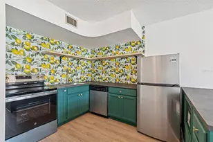 4511 S Oak Dr, Tampa, FL 33611 - Photo 11