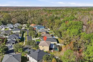 4821 Barchetta Dr, Land O Lakes, FL 34639 - Photo 49
