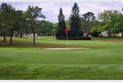 3408 Stirling Road, Palm Harbor, FL 34684 - Photo 53