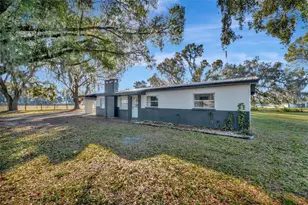 4111 E Knights Griffin Rd, Plant City, FL 33565 - Photo 59