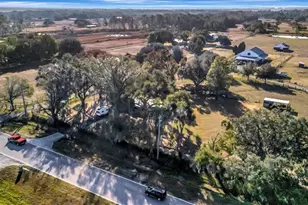 4111 E Knights Griffin Rd, Plant City, FL 33565 - Photo 43