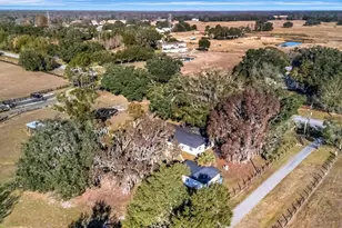 4111 E Knights Griffin Rd, Plant City, FL 33565 - Photo 47