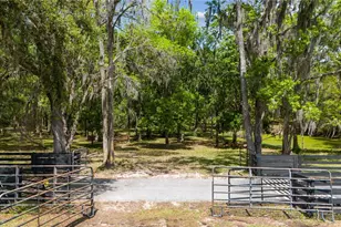 12345 Citrus Way, Brooksville, FL 34601 - Photo 51