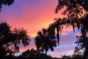 11325 Hidden Valley Ln, Riverview, FL 33569 - Photo 99