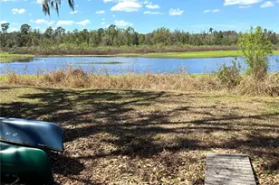 11325 Hidden Valley Ln, Riverview, FL 33569 - Photo 87