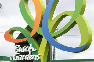 6101 Soaring Ave, Temple Terrace, FL 33617 - Photo 51