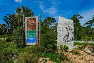 3244 Rose Arbor Dr, Hernando Beach, FL 34607 - Photo 79