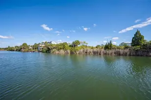 3244 Rose Arbor Dr, Hernando Beach, FL 34607 - Photo 55