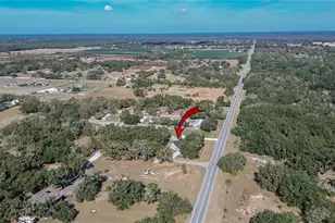 106 Corbett Rd, Lithia, FL 33547 - Photo 69