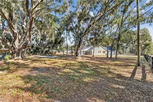 106 Corbett Rd, Lithia, FL 33547 - Photo 57