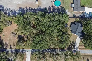 106 Corbett Rd, Lithia, FL 33547 - Photo 83