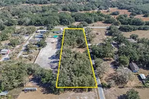 106 Corbett Rd, Lithia, FL 33547 - Photo 87