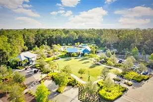 4206 Tour Trce, Land O Lakes, FL 34638 - Photo 61
