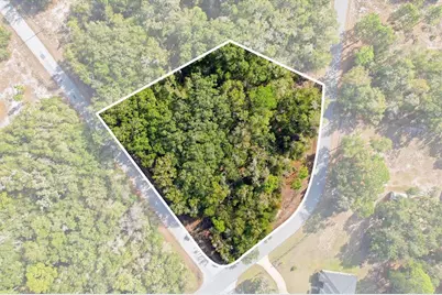 9659 N Cacalia Drive, Crystal River, FL 34428 - Photo 3