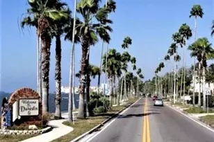 4908 Harbor Woods Dr, Palm Harbor, FL 34683 - Photo 69