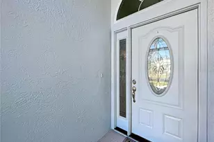 4908 Harbor Woods Dr, Palm Harbor, FL 34683 - Photo 53