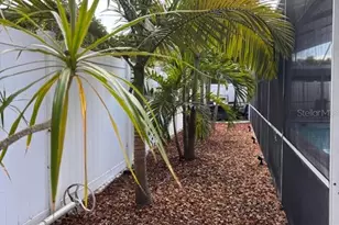 1105 Amble Ln, Clearwater, FL 33755 - Photo 17