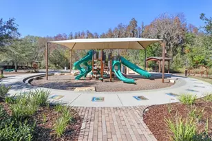 32450 Talimena Loop, Wesley Chapel, FL 33543 - Photo 53