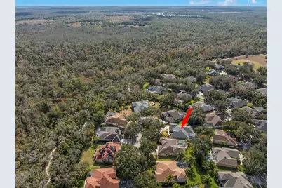 15321 Vireoglen Lane, Lithia, FL 33547 - Photo 53