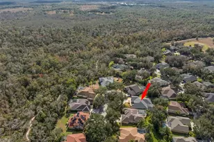 15321 Vireoglen Ln, Lithia, FL 33547 - Photo 53