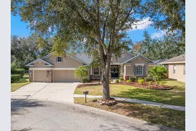 15321 Vireoglen Lane, Lithia, FL 33547 - Photo 47