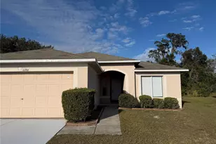 11701 Brenford Crest Dr, Riverview, FL 33579 - Photo 3