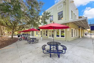 5906 Fishhawk Crossing Blvd, Lithia, FL 33547 - Photo 75