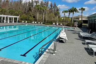 32860 Brooks Hawk Ln, Wesley Chapel, FL 33543 - Photo 27