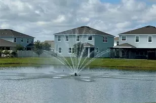 32860 Brooks Hawk Ln, Wesley Chapel, FL 33543 - Photo 25