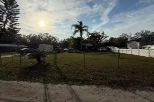 9006 Scott Wilson Ln, Odessa, FL 33556 - Photo 5