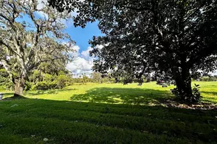 7040 Cognac Dr, New Port Richey, FL 34653 - Photo 3