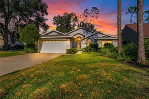 5712 Whitebark Dr, Wesley Chapel, FL 33543 - Photo 3