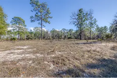 5555 N Muslin Terrace, Dunnellon, FL 34433 - Photo 21