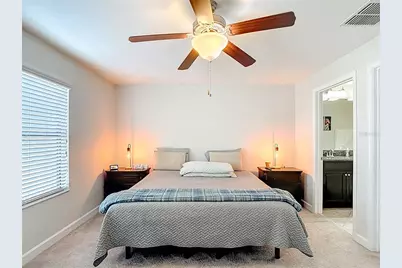 28599 Tranquil Lake Circle, Wesley Chapel, FL 33543 - Photo 25