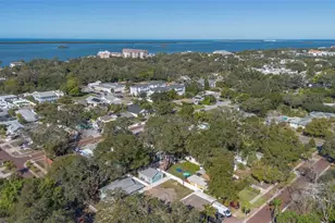 448 Locklie St, Dunedin, FL 34698 - Photo 33